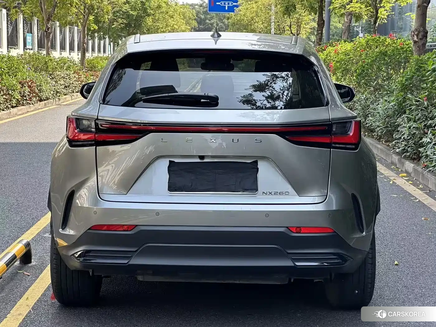 Lexus NX 2023 Silver/gray из Китая, фото 6