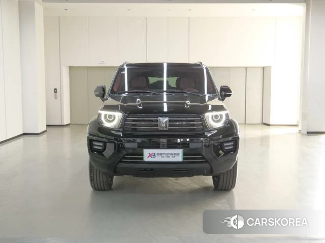 Tank 700 Hi4-T id 3957866 из Китая 13