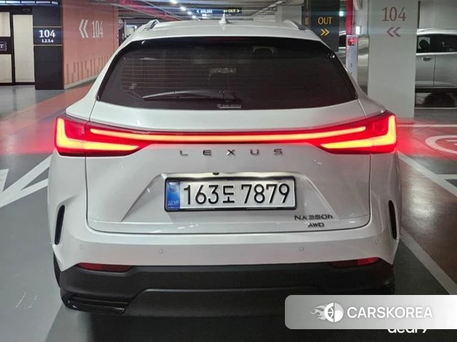 Lexus NX350h Second generation 2025 Белый из Кореи, фото 6