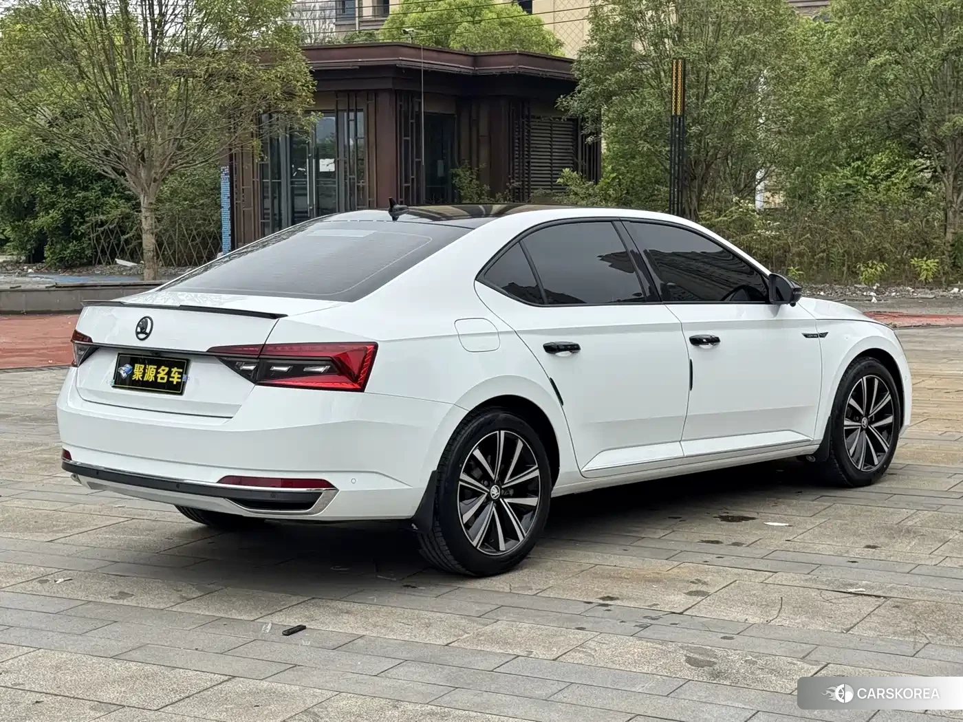 Skoda Speed pie 2024 Белый из Китая, фото 3