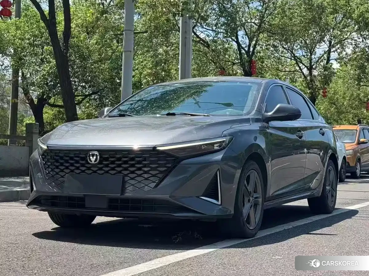 Chang'an Ruicheng PLUS 2022 Silver/gray из Китая, фото 4