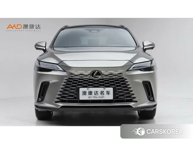 Lexus RX PHEV 2023 Серебристо-серый из Китая, фото 3