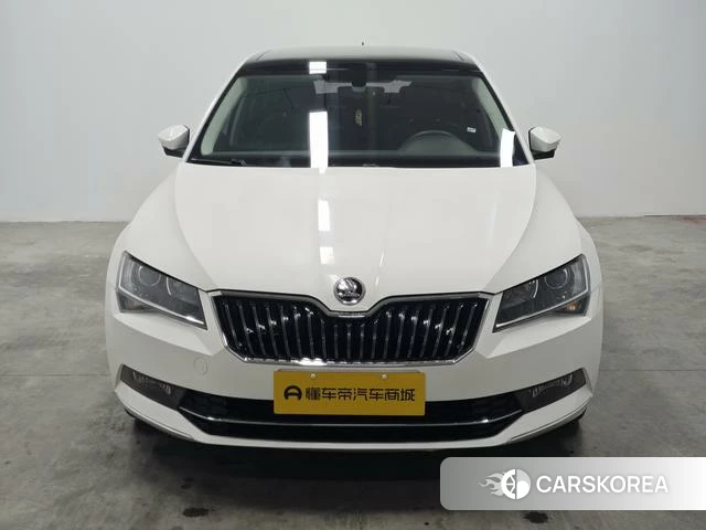 Skoda Speed pie id 4212782 из Китая 13