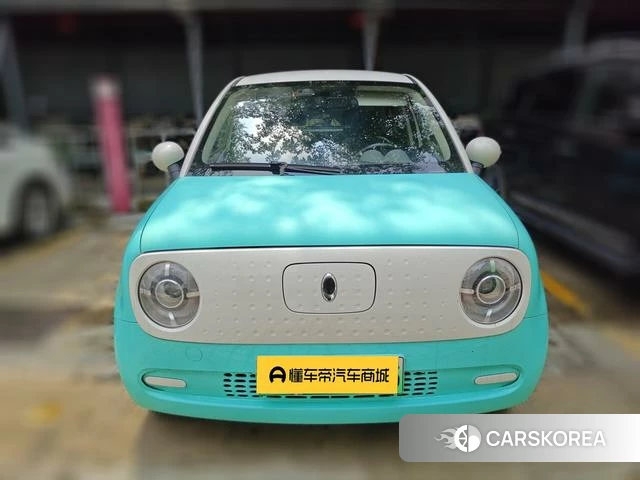 Euler Black cat 2020 Другой из Китая, фото 3