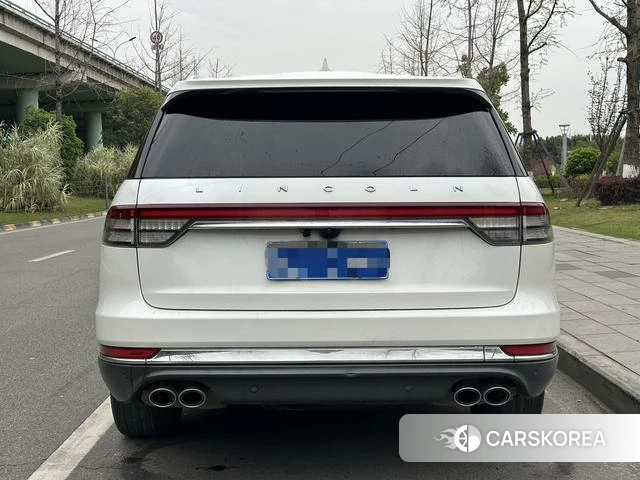 Lincoln Flying Home (imported) 2020 Белый из Китая, фото 4