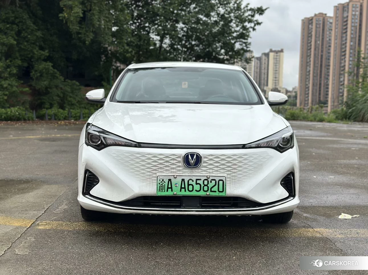 Chang'an Yidong EV 2022 Белый из Китая, фото 6