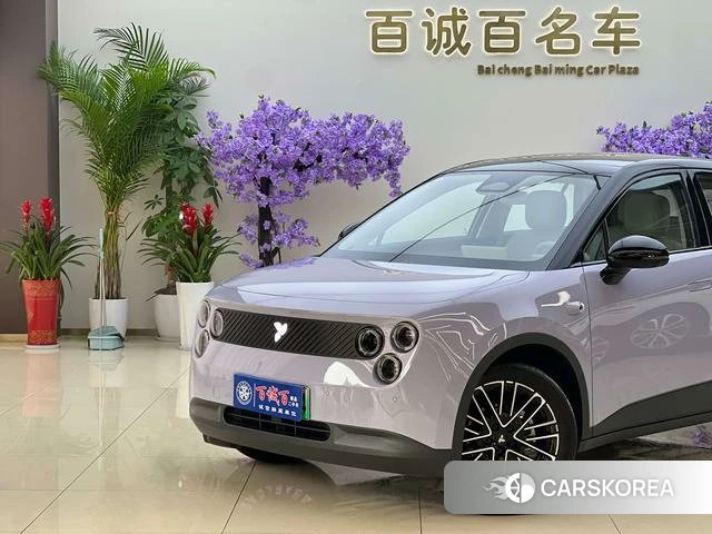 firefly firefly Unknown id 4198925 из Китая 13