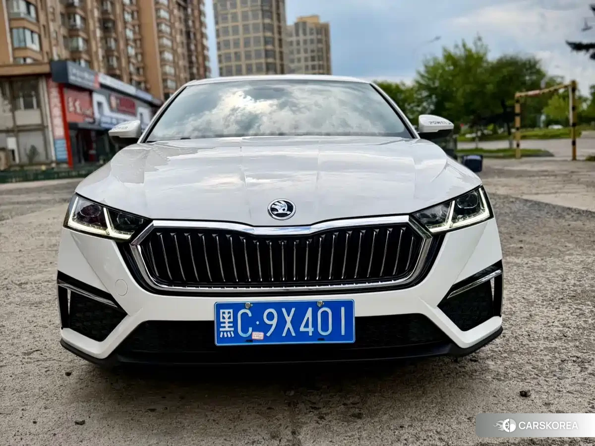 Skoda Octavia id 4545663 из Китая 17