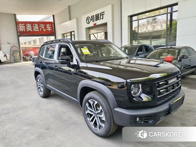 Haval Big dog 2026 Черный из Китая, фото 3