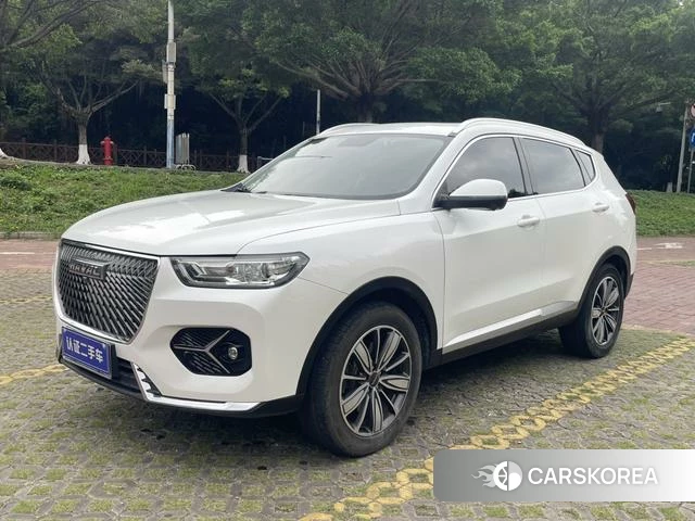 Haval H6 2020 Белый из Китая, фото 6