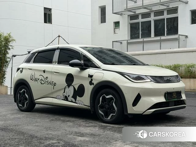BYD dolphin id 4205632 из Китая 14