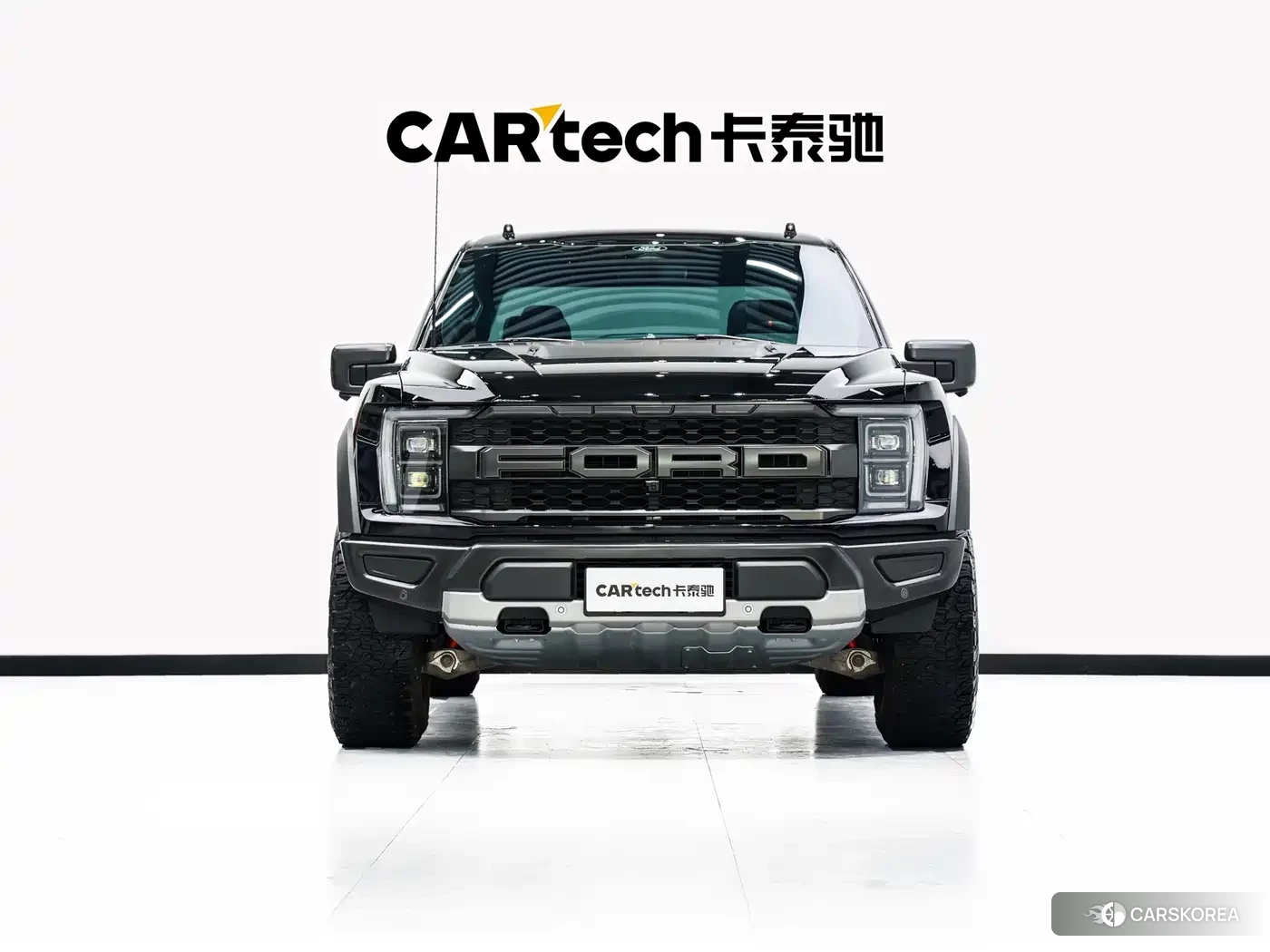 Ford F-150 id 4649283 из Китая 16
