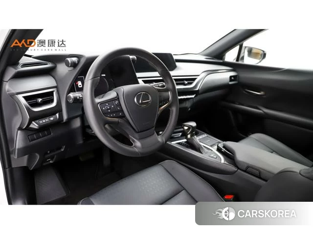 Lexus UX 2021 Белый из Китая, фото 3