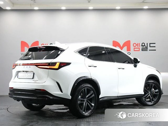 Lexus NX350h Second generation 2026 Белый из Кореи, фото 3