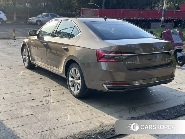 Skoda Speed pie 2020 Коричневый из Китая, фото 3