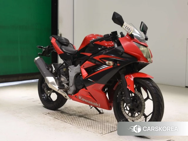 Kawasaki NINJA 250SL 2015 из Японии, фото 4