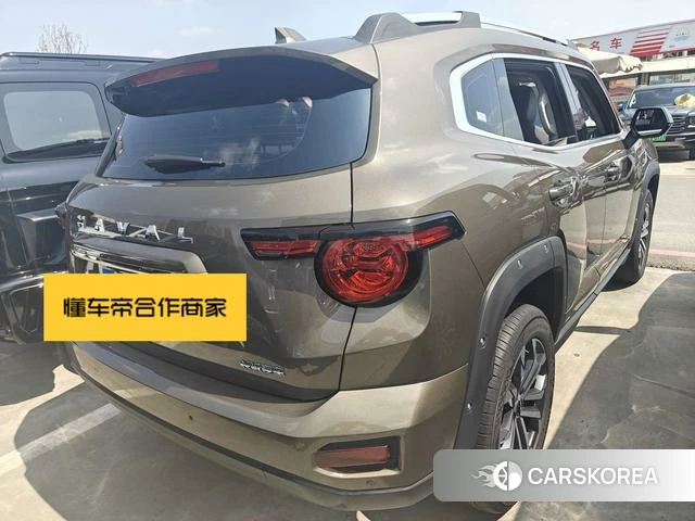 Haval Big Dog PLUS 2024 Шампань из Китая, фото 3