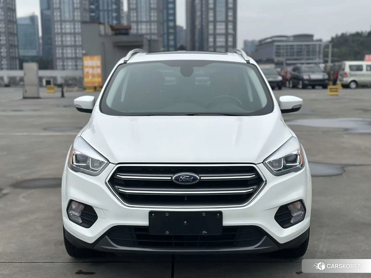 Ford Winged Tiger 2019 Белый из Китая, фото 3