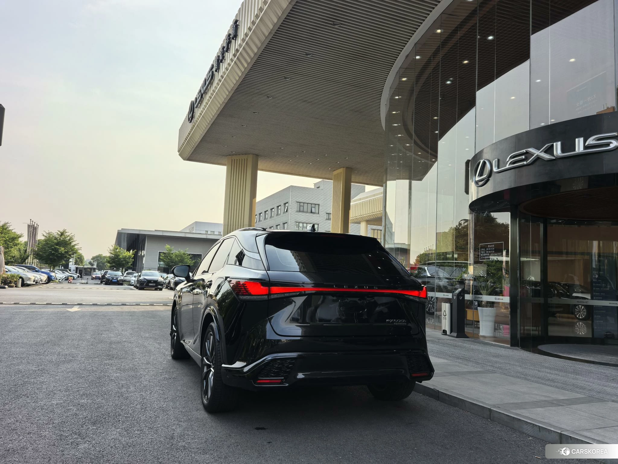 Lexus RX id 4452821 из Китая 10
