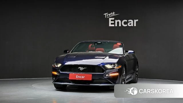 Ford Mustang id 4625199 из Кореи 13