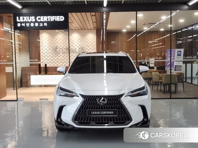 Lexus NX450h + 2nd generation id 3080279 из Кореи 13