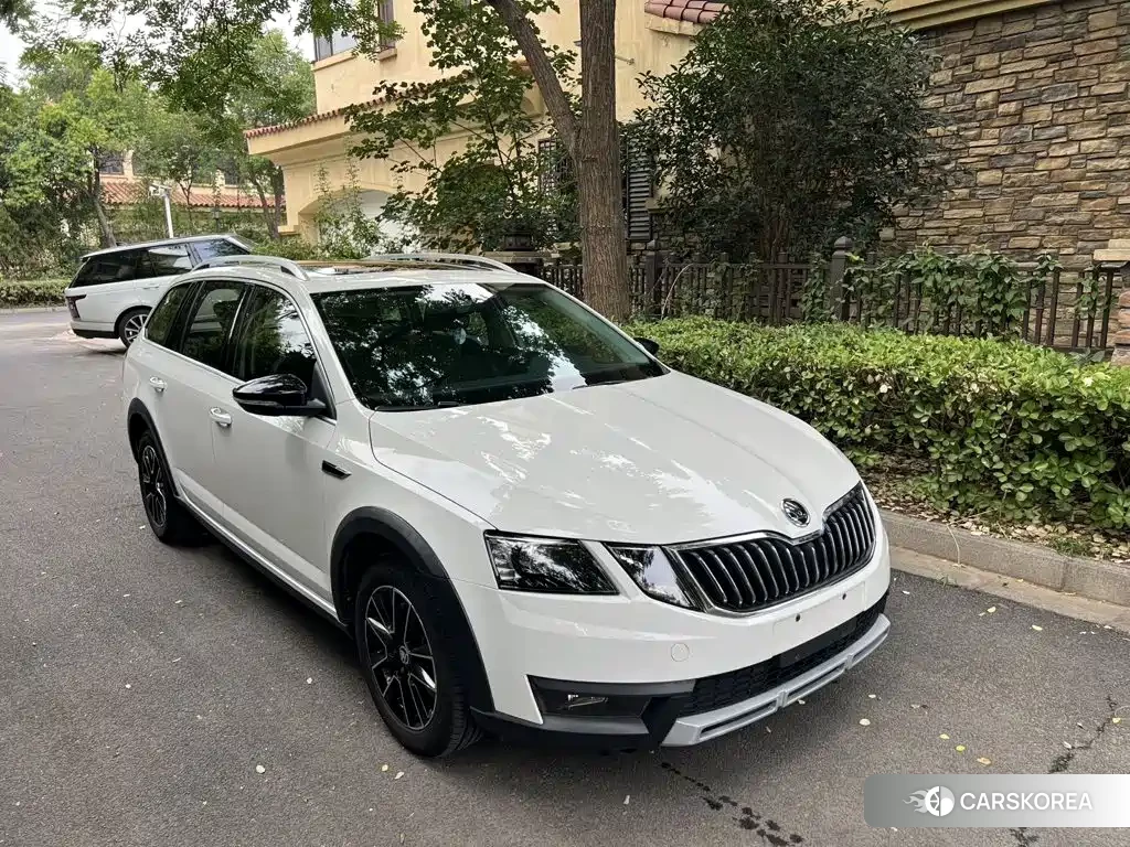 Skoda Octavia 2020 Белый из Китая, фото 6