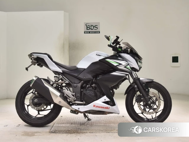 Kawasaki Z250 2014 из Японии