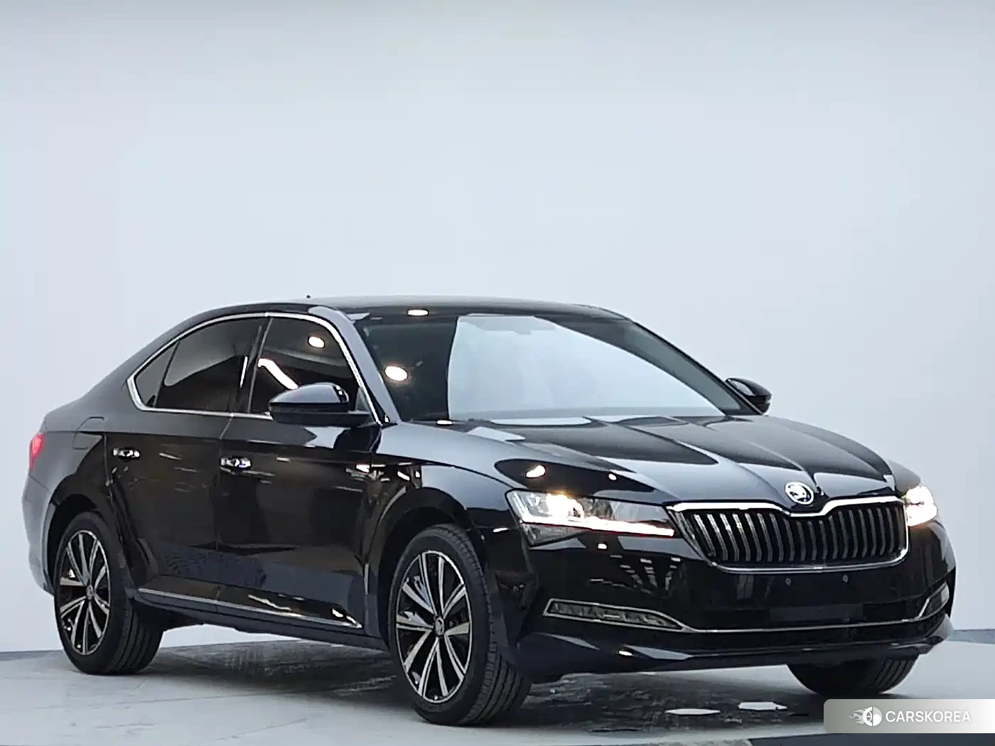 Skoda Speed pie id 4545666 из Китая 12