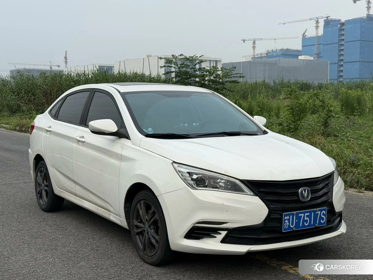 Chang'an Yidong DT 2019 Белый из Китая, фото 3