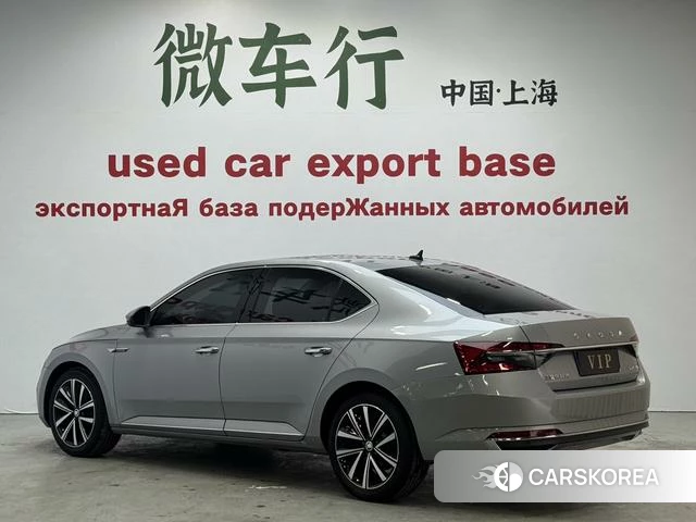 Skoda Speed pie id 4239098 из Китая 20