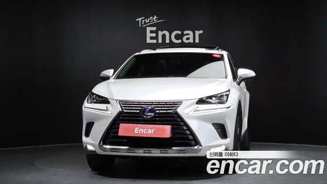 Lexus NX300h id 2876911 из Кореи 13