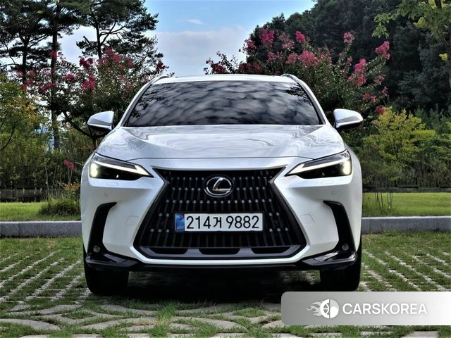 Lexus NX350h Second generation id 4834199 из Кореи 13