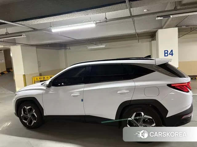 Hyundai Tucson (NX4) 2023 Белый из Кореи, фото 3