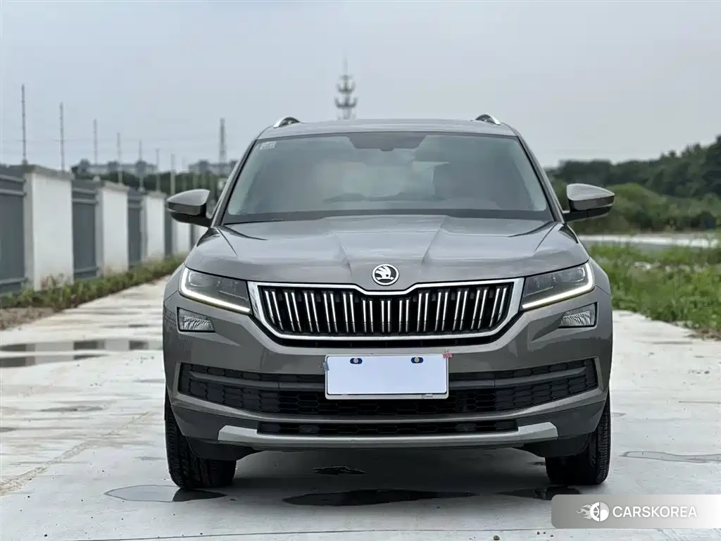 Skoda Kodiak id 4553660 из Китая 9