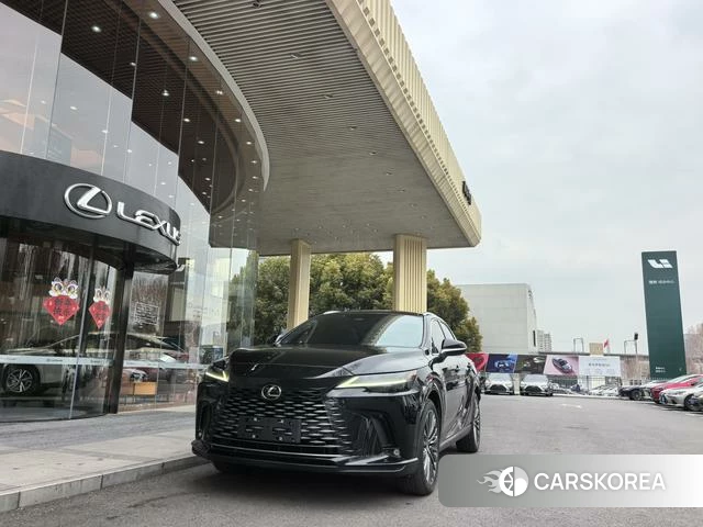 Lexus RX id 4262248 из Китая 11