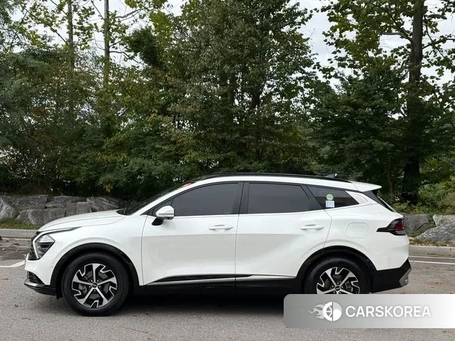 Kia Sportage 5th Generation Hybrid id 3616017 из Кореи 12