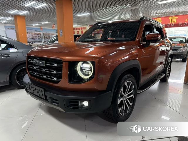 Haval Big dog 2021 Оранжевый из Китая, фото 3