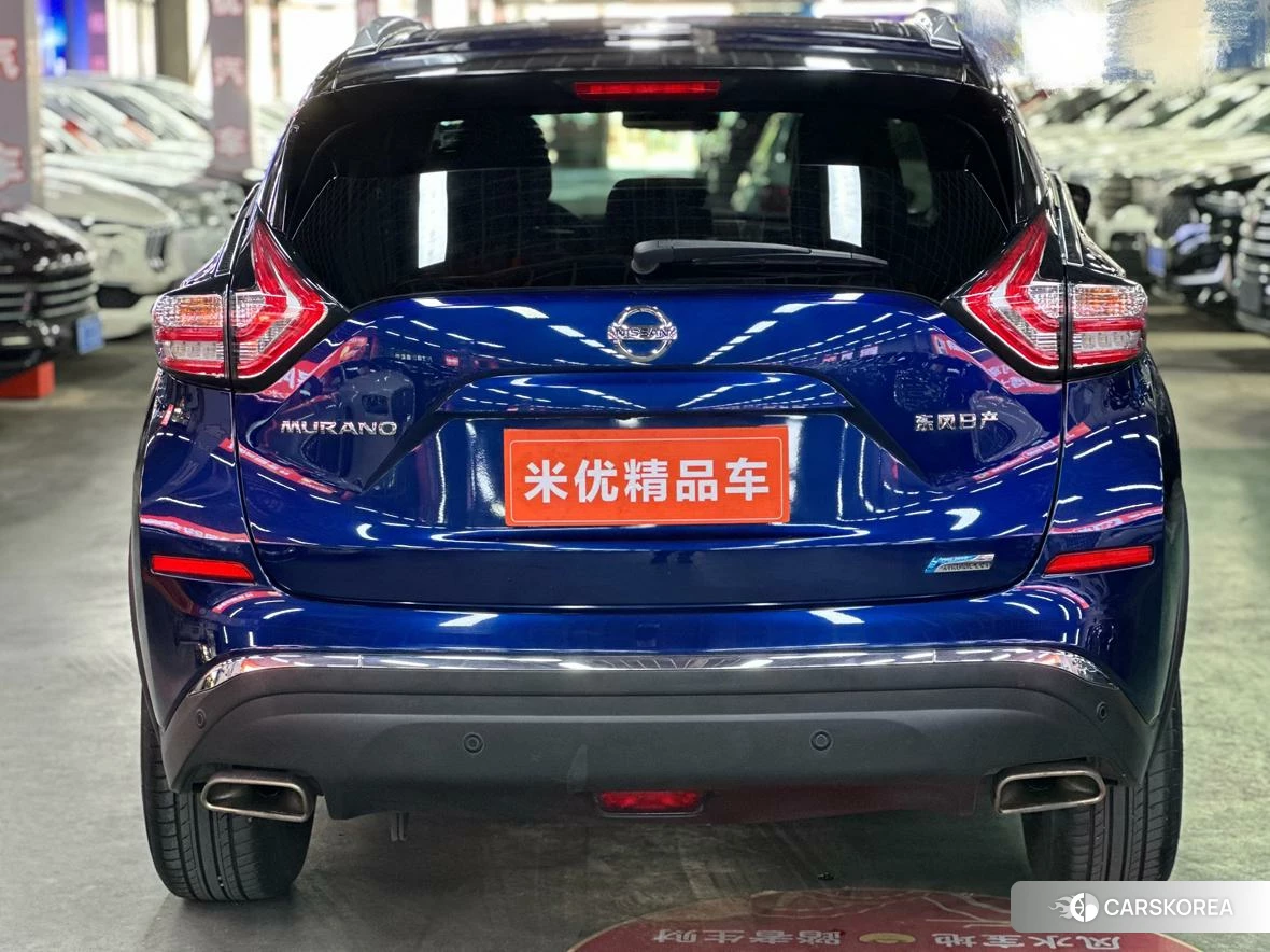 Nissan Loulan id 4455082 из Китая 13