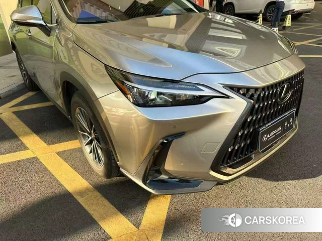 Lexus NX id 4273944 из Китая 20