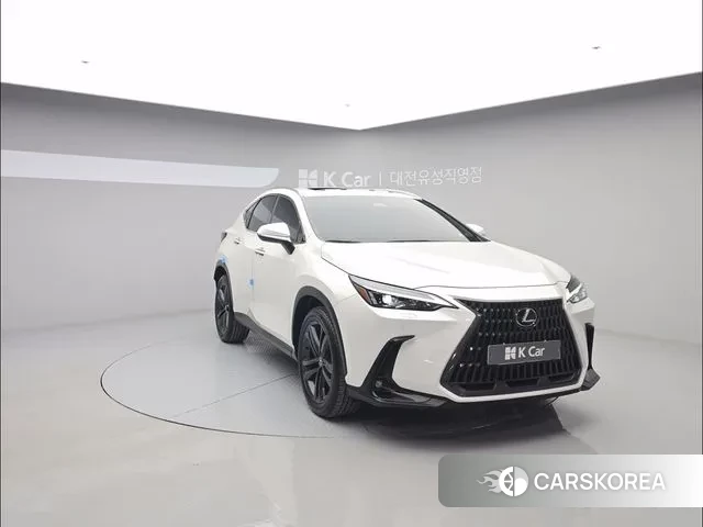 Lexus NX350h Second generation id 3560409 из Кореи 13