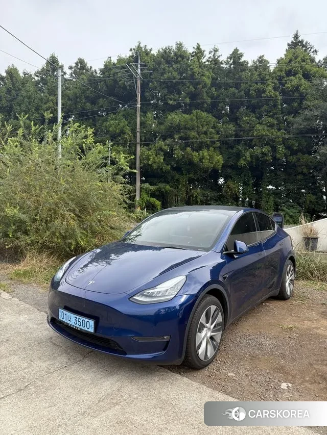 Tesla Model Y 2021 Синий из Кореи, фото 5
