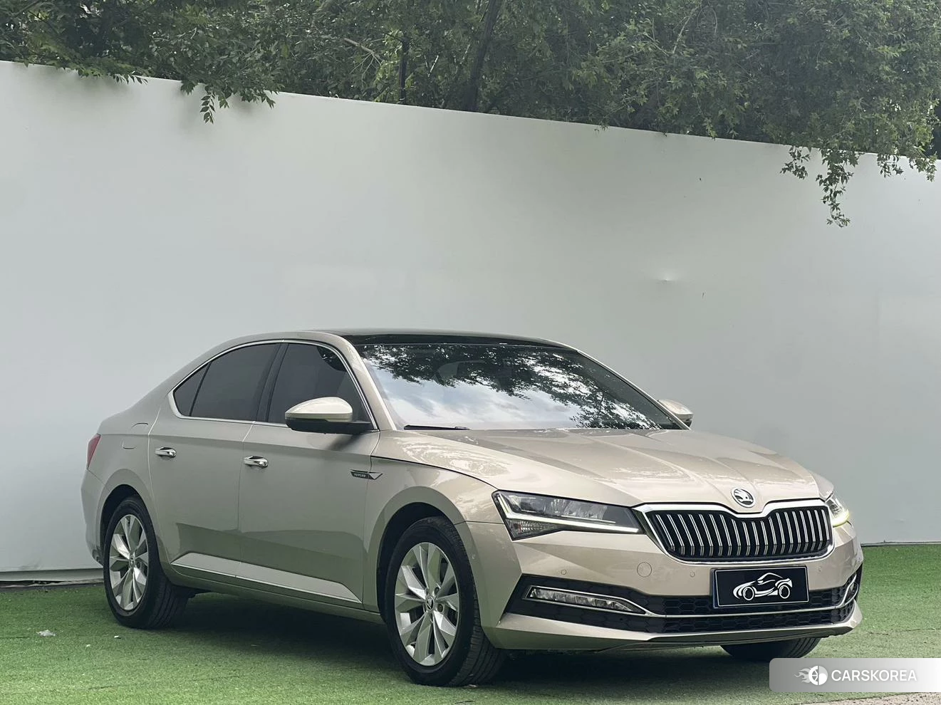 Skoda Speed pie 2021 Шампань из Китая, фото 3