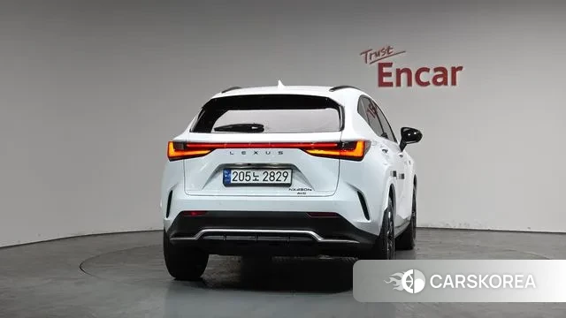 Lexus NX450h + 2nd generation id 3740003 из Кореи 13