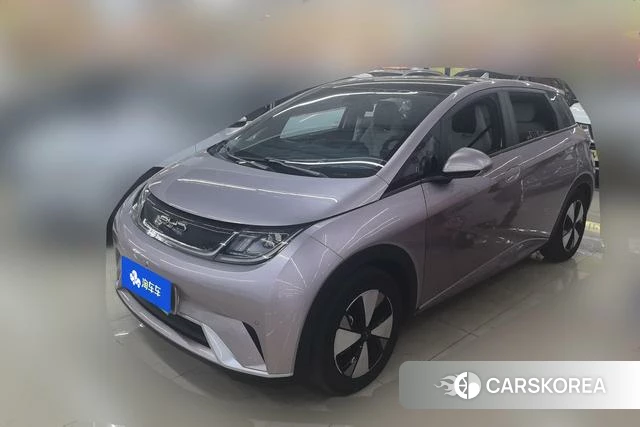BYD dolphin id 4254818 из Китая 10