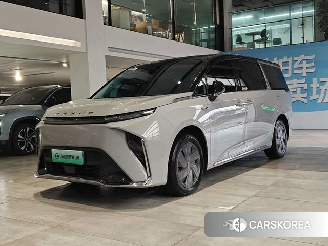 Chase Everyone 9 EV 2024 Серебристо-серый из Китая, фото 3