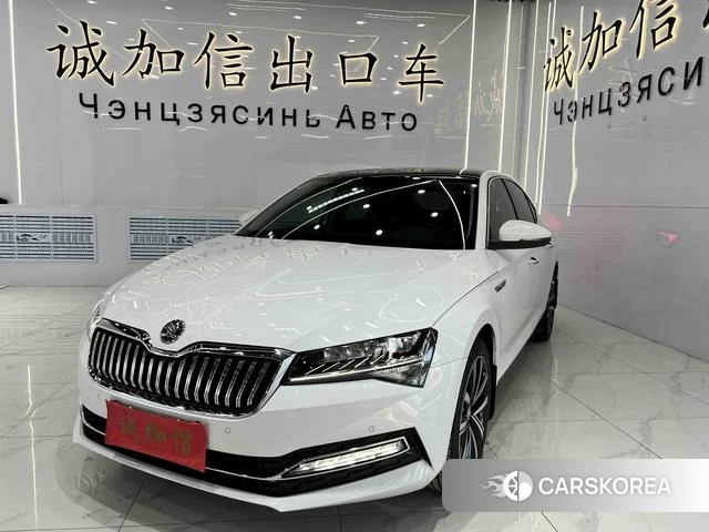 Skoda Speed pie id 4368045 из Китая 15