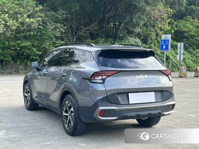 Kia Lion Platinum expands the world 2024 Темно-серый из Китая, фото 3