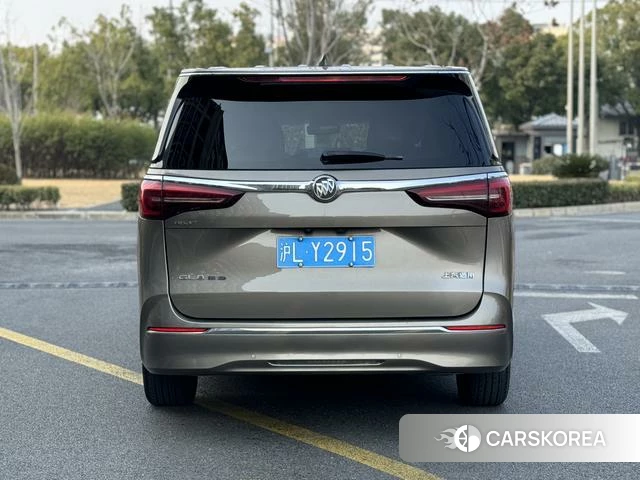 Buick GL8 2020 Коричневый из Китая, фото 6