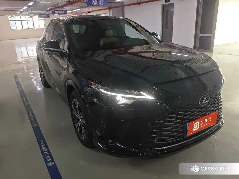 Lexus RX id 4644520 из Китая 8