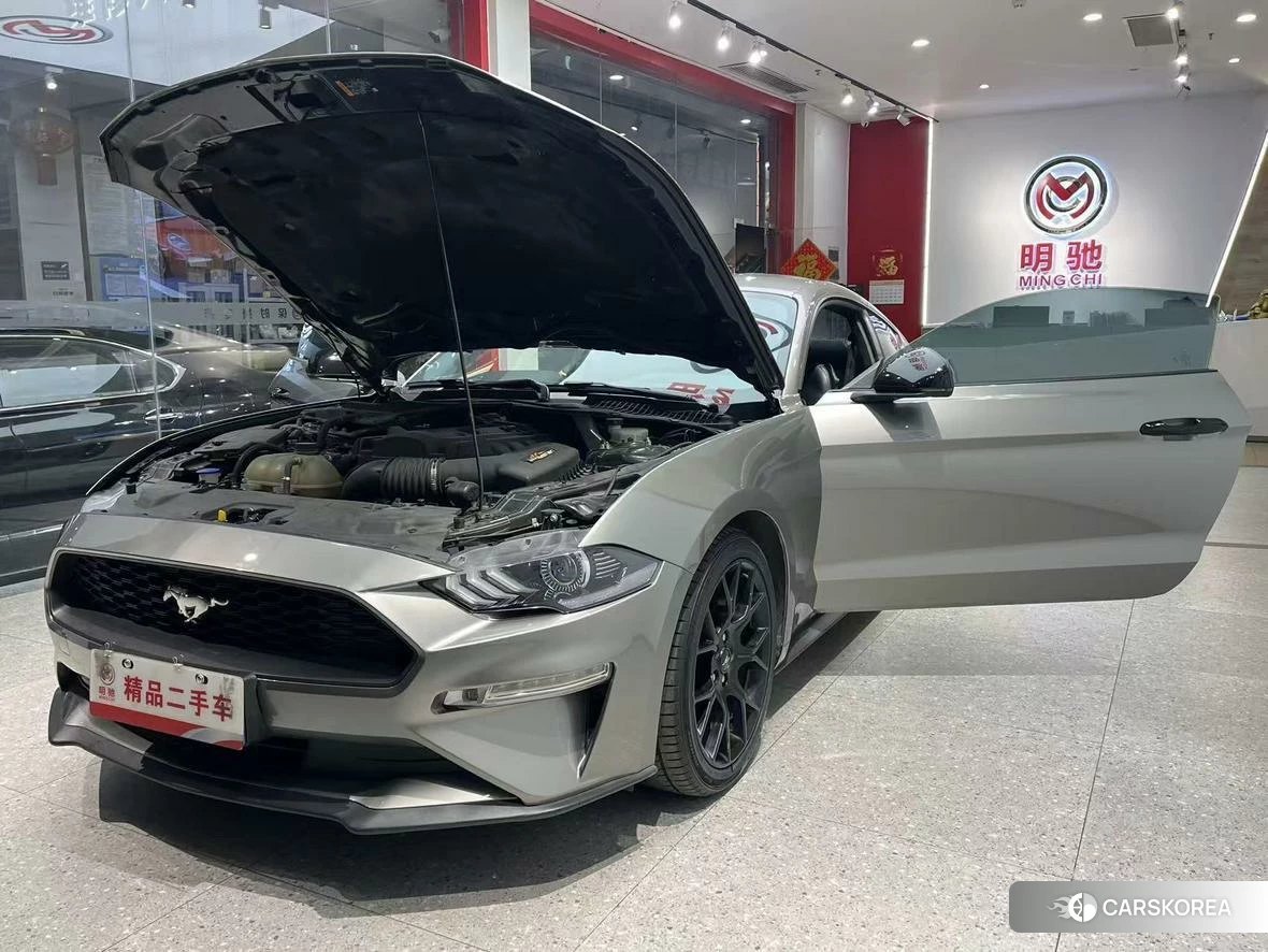 Ford Mustang id 4479446 из Китая 12